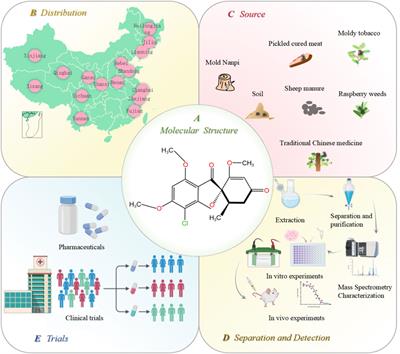 Antitumor properties of griseofulvin and its toxicity